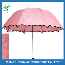 Contate o Impressão Clolor dobre o guarda-chuva das senhoras